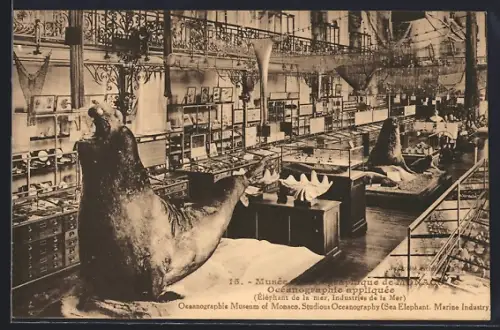 AK Monaco, Musée Océanographique, Oceanographie appliquée, Éléphant de la mer, Industries de la mer