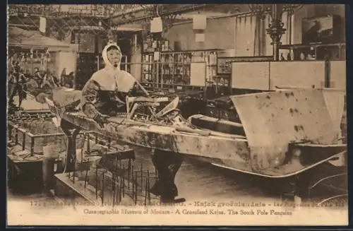 AK Monaco, Musée Océanographique, Kajak groenlandais, Les Pingouins du Pole Sud