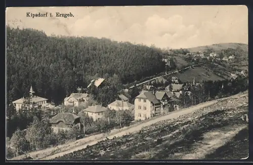 AK Kipsdorf i. Erzgeb., Ortsansicht, Häuser, bewaldete Hügel