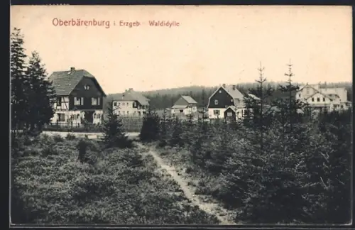 AK Oberbärenburg i. Erzgeb., Waldidylle