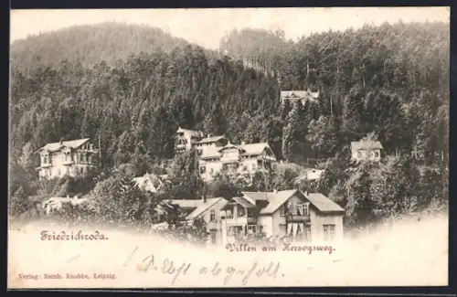 AK Friedrichroda, Villen am Herzogweg