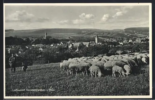 AK Sondershausen i. Thür., Blick auf Stadt und Schäfer mit Herde
