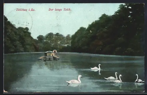 AK Zwickau i. Sa., Der lange Teich, Schwäne