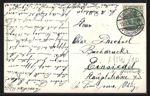 AK Zwickau i. Sa., Der lange Teich, Schwäne