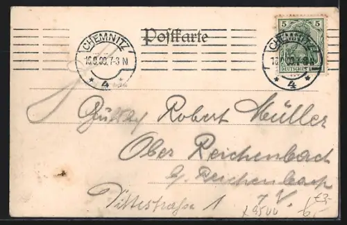 AK Zwickau, Totalansicht