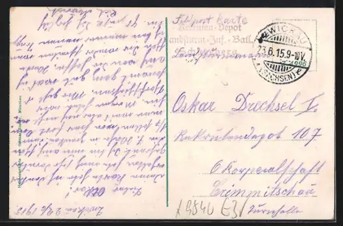 AK Zwickau, König Albert Museum