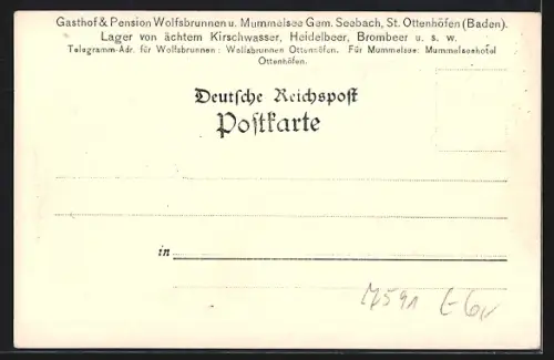 Lithographie Mummelsee, Seeansicht, Post und Telefon, Ruderboote