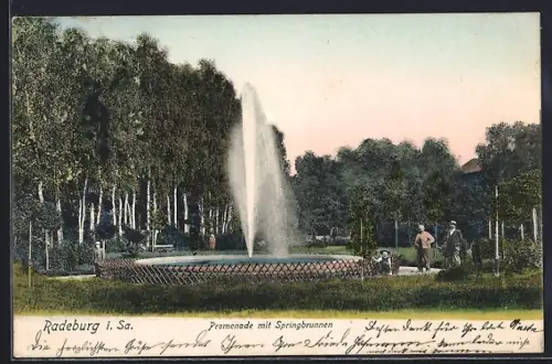 AK Radeburg i. Sa., Promenade mit Springbrunnen