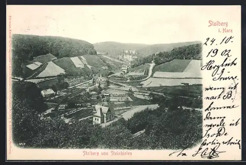 AK Stolberg i. Harz, Blick von Steinbielen auf Stadt und Schloss