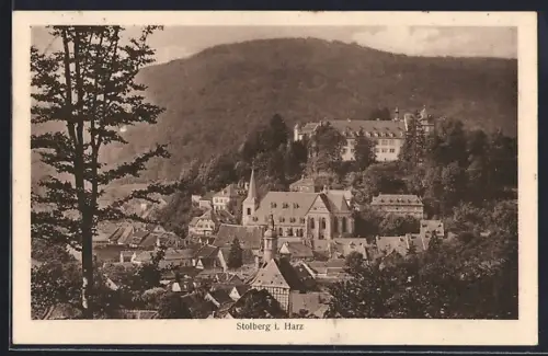 AK Stolberg i. Harz, Schloss, Kirche, Stadtansicht