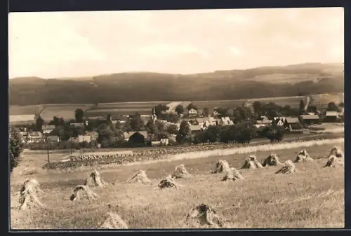 AK Marieney i. Vogtl., Ortsansicht, Felder, Dorfpanorama