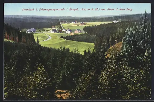AK Steinbach b. Johanngeorgenstadt, Ortsansicht, Auersberg, Waldlandschaft