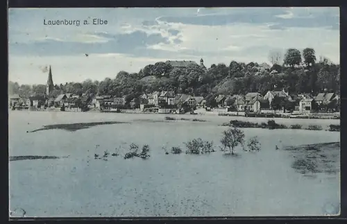 AK Lauenburg a. Elbe, Stadtansicht mit Kirche und Schloss