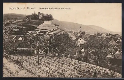 AK Neustadt a. d. Haardt, Haardter Schlösschen mit Haardt