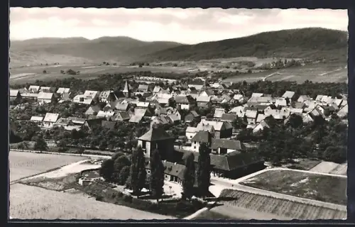 AK Schweigen /Pfalz, Weintor, Ortsansicht