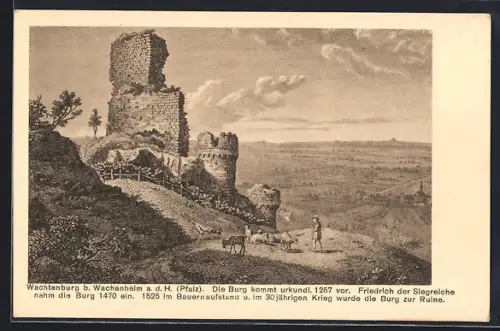 AK Wachenheim a. d. H., Wachtenburg Ruine, Landschaftspanorama