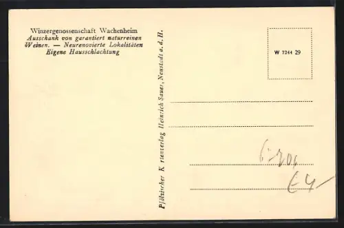 AK Wachenheim a. d. H., Wachtenburg Ruine, Landschaftspanorama