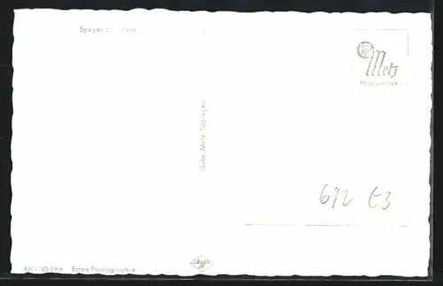 AK Speyer am Rhein, Dom, Rheinansicht, Dampfschiffe