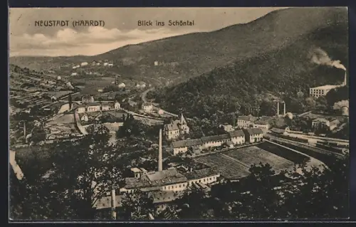 AK Neustadt /Haardt, Blick ins Schöntal