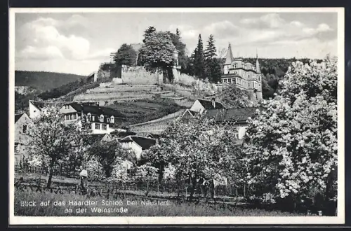AK Neustadt an der Weinstrasse, Blick auf das Haardter Schloss