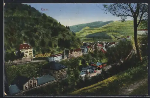 AK Calw, Stadtansicht im Tal, Wohnhäuser, umgebende Hügel