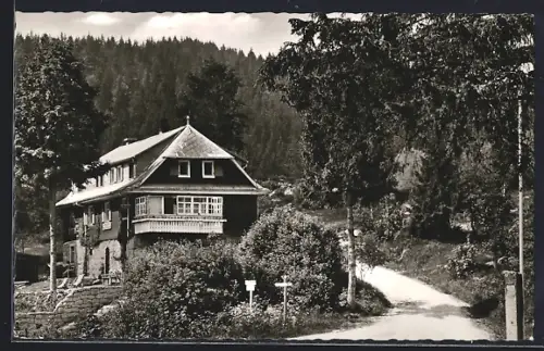 AK Blasiwald /Schluchsee, Fremdenheim Haus Schwörer