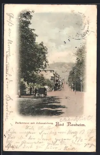 AK Bad Nauheim, Parkstrasse mit Johannisberg
