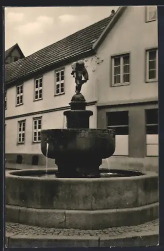 AK Teterow /Meckl., Hechtbrunnen