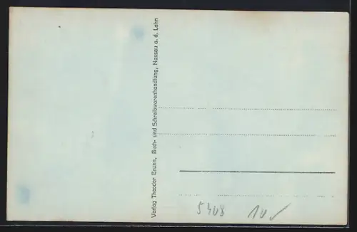 AK Bad Nassau a. d. Lahn, Panorama mit Lahn und Burgruine