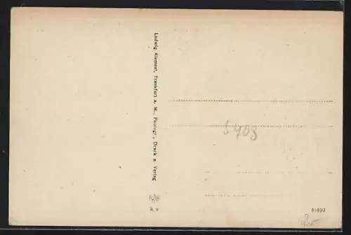 AK Bad Nassau a. L., Kettenbrücke, Stadtansicht