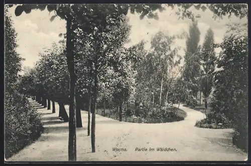 AK Worms, Partie im Wäldchen