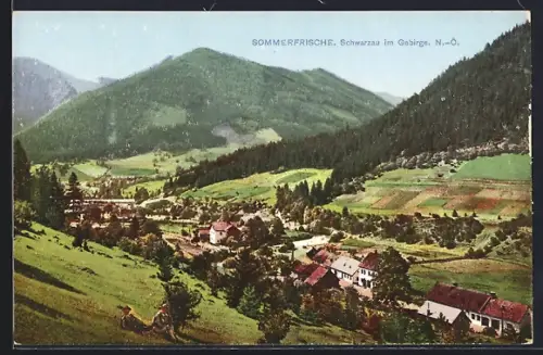 AK Schwarzau im Gebirge, Ortsansicht aus der Vogelschau