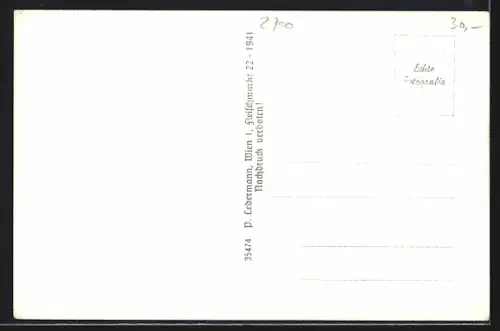 AK Wiener Neustadt, Ortspanorama mit Schneeberg und Hohe Wand