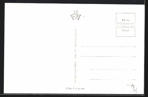 AK Winzendorf an der Hohen Wand, Wohnhäuser im Ort