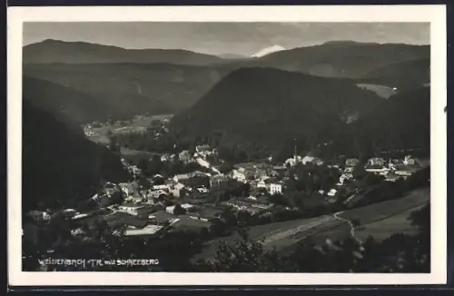 AK Weissenbach an der Triesting, Panoramaansicht mit Schneeberg