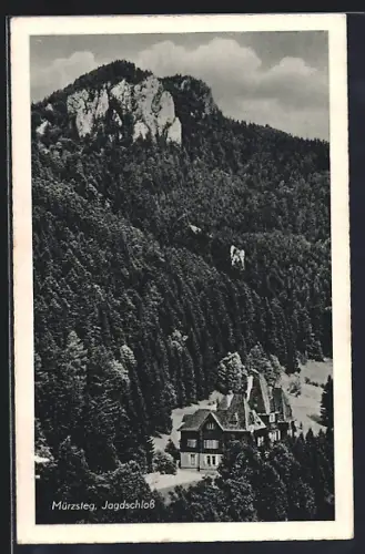 AK Mürzsteg, Das Jagdschloss aus der Vogelschau