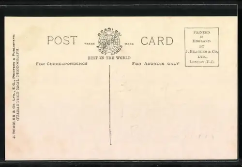 AK The Royal Wedding of the Duke & Duchess of York at Buckingham Palace