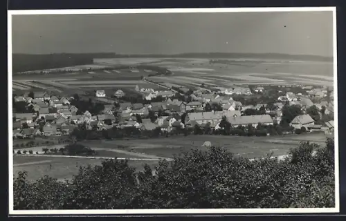 AK Friedewald / Hersfeld, Ortsansicht, Felder, Panorama