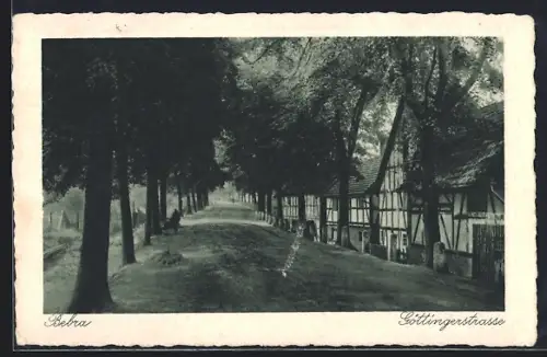 AK Bebra / Hessen, Göttingerstrasse, Fachwerkhäuser, Allee