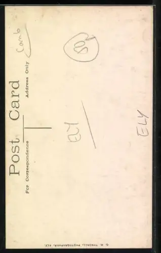 AK Ely, View of the cathedral