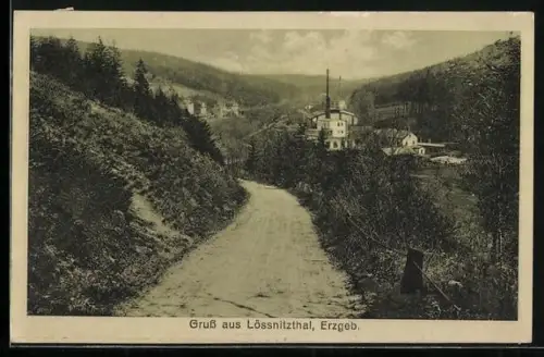 AK Lössnitztal / Oederan, Fabrikgebäude am Wald
