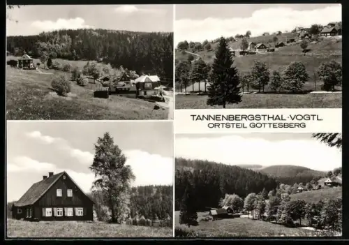 AK Gottesberg / Vogtl., Ortsansicht am Wald
