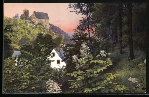 AK Scharfenstein / Zschopautal, Schloss Scharfenstein, Waldpartie