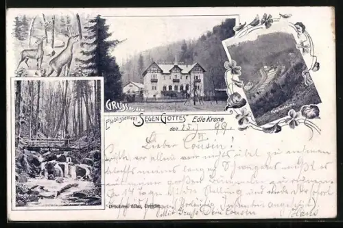 Lithographie Edle Krone, Gasthof Segen Gottes