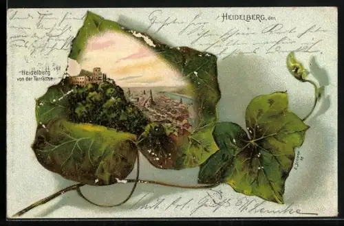 Lithographie Heidelberg / Neckar, Blick von der Terrasse auf den Ort