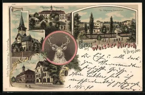 AK Dresden-Weisser Hirsch, Partien am Kurhaus, Kirche und Dr. Lahmanns Sanatorium