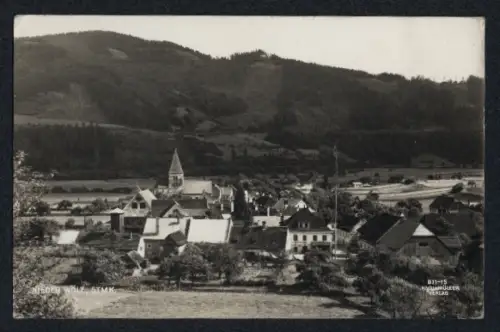 AK Nieder Wölz /Stmk., Teilansicht mit Kirche