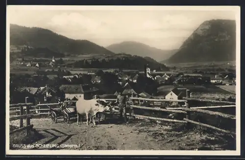 AK Scheifling /Steierm., Teilansicht mit Ochsenwagen