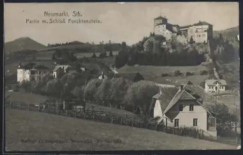 AK Neumarkt, Partie mit Schloss Forchtenstein