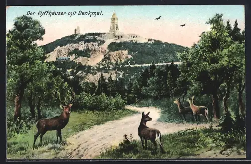 AK Kyffhäuser, Kyffhäuserdenkmal, Wald, Hirsche